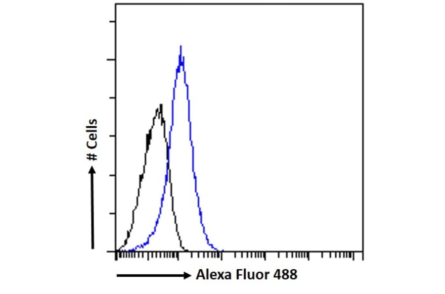 Flow Cytometry - Anti-HOXD10 Antibody (A84582) - Antibodies.com