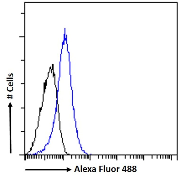 Flow Cytometry - Anti-HOXD10 Antibody (A84582) - Antibodies.com