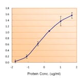 ELISA - Anti-Ferritin Light Chain Antibody (A84622) - Antibodies.com