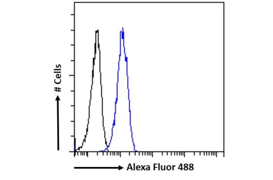 Flow Cytometry - Anti-Noxa Antibody (A84630) - Antibodies.com