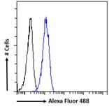 Flow Cytometry - Anti-Noxa Antibody (A84630) - Antibodies.com