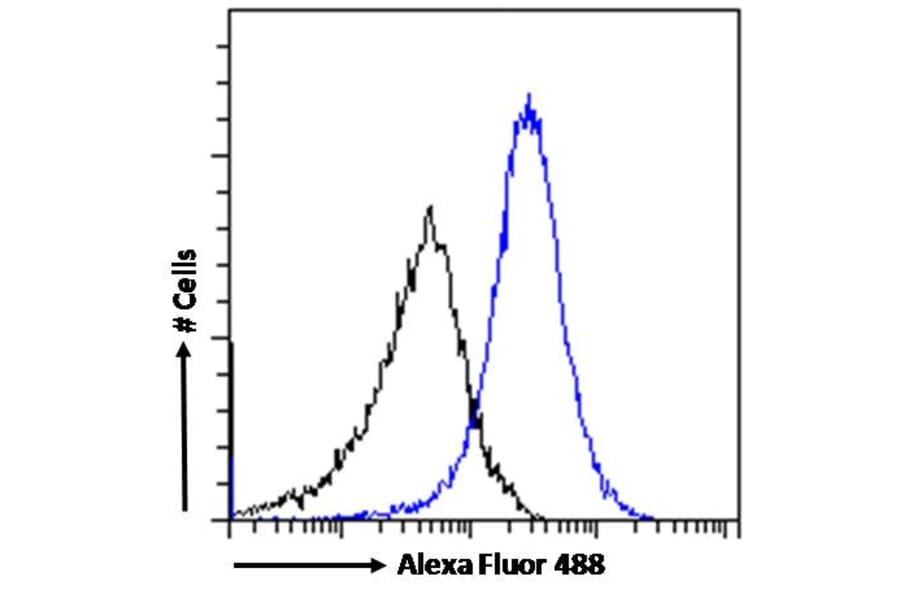 Flow Cytometry - Anti-CTAG1B Antibody (A84635) - Antibodies.com