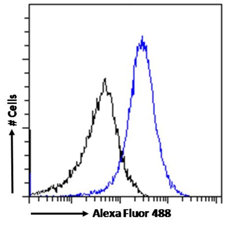 Flow Cytometry - Anti-CTAG1B Antibody (A84635) - Antibodies.com