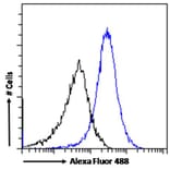 Flow Cytometry - Anti-CTAG1B Antibody (A84635) - Antibodies.com