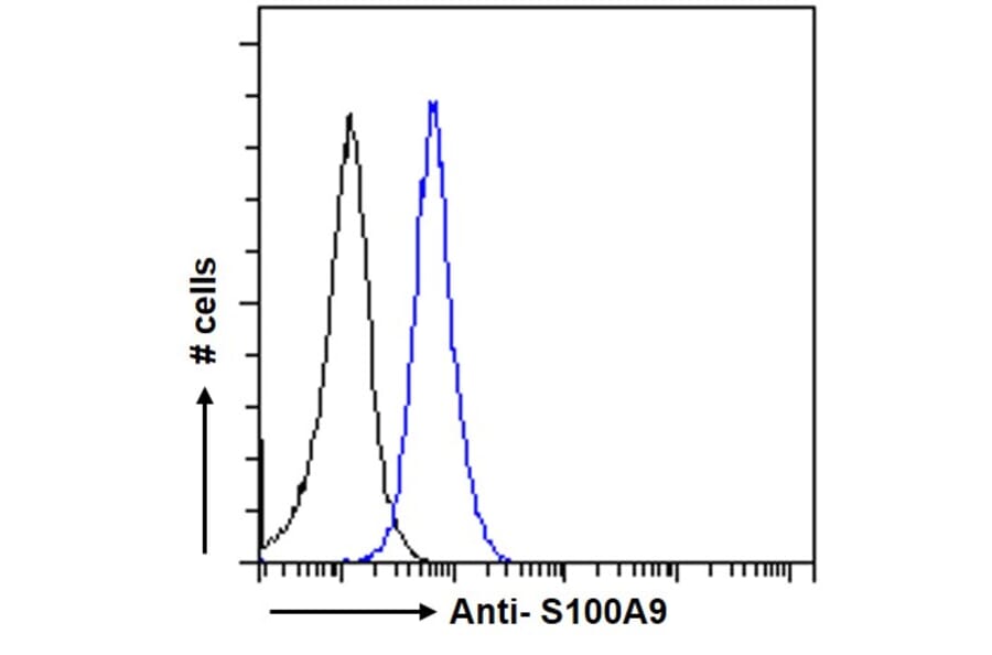 Flow Cytometry - Anti-S100A9 Antibody (A84636) - Antibodies.com