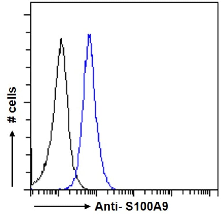 Flow Cytometry - Anti-S100A9 Antibody (A84636) - Antibodies.com