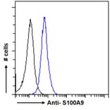 Flow Cytometry - Anti-S100A9 Antibody (A84636) - Antibodies.com
