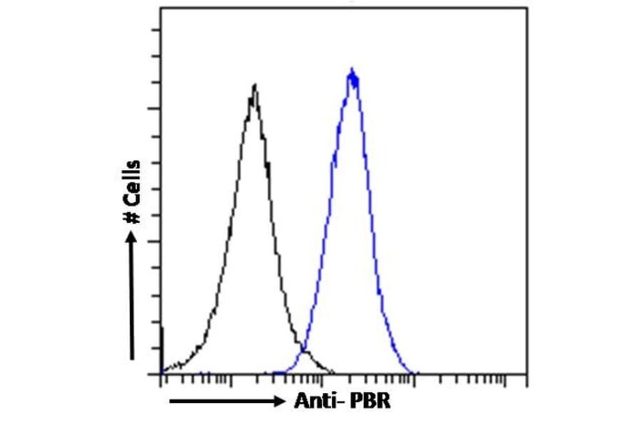 Flow Cytometry - Anti-PBR Antibody (A84643) - Antibodies.com