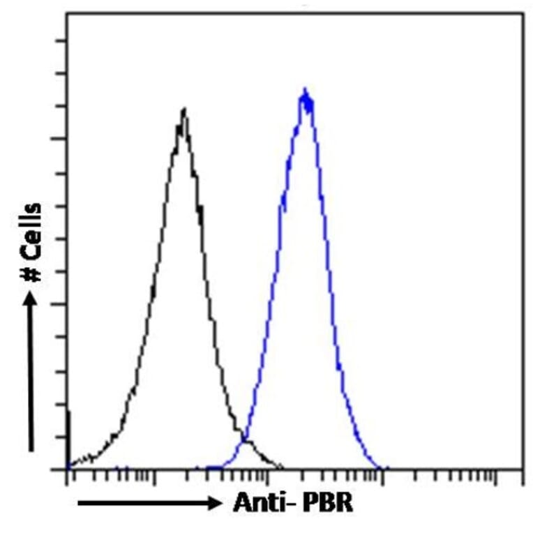 Flow Cytometry - Anti-PBR Antibody (A84643) - Antibodies.com