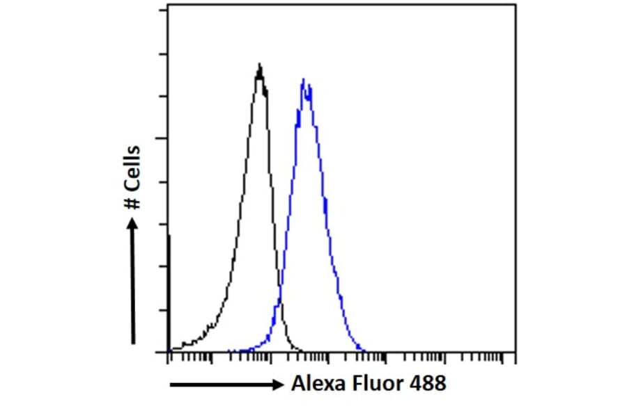 Flow Cytometry - Anti-Aryl Hydrocarbon Receptor Antibody (A84652) - Antibodies.com