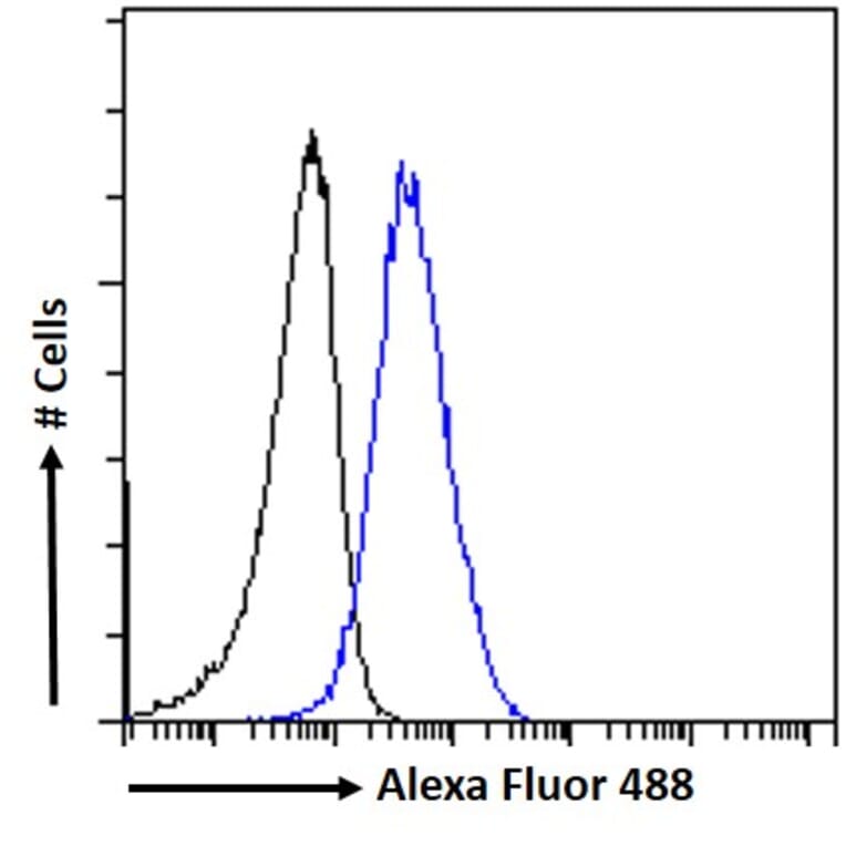 Flow Cytometry - Anti-Aryl Hydrocarbon Receptor Antibody (A84652) - Antibodies.com