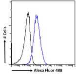 Flow Cytometry - Anti-Aryl Hydrocarbon Receptor Antibody (A84652) - Antibodies.com