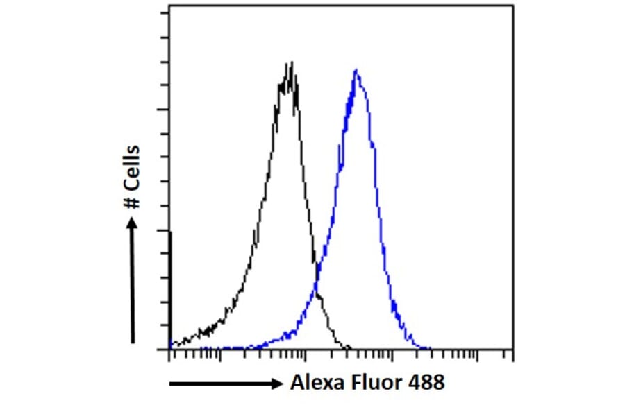 Flow Cytometry - Anti-ACAT1 Antibody (A84741) - Antibodies.com