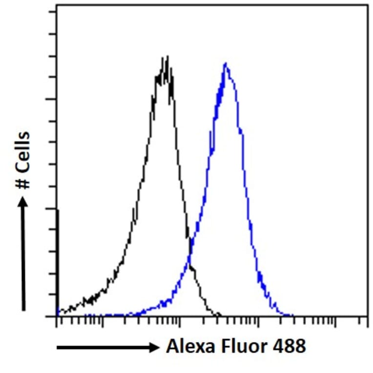 Flow Cytometry - Anti-ACAT1 Antibody (A84741) - Antibodies.com