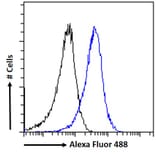 Flow Cytometry - Anti-ACAT1 Antibody (A84741) - Antibodies.com