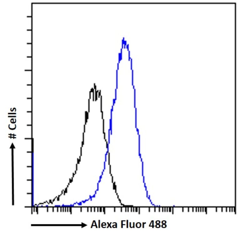 Flow Cytometry - Anti-AIM2 Antibody (A84784) - Antibodies.com