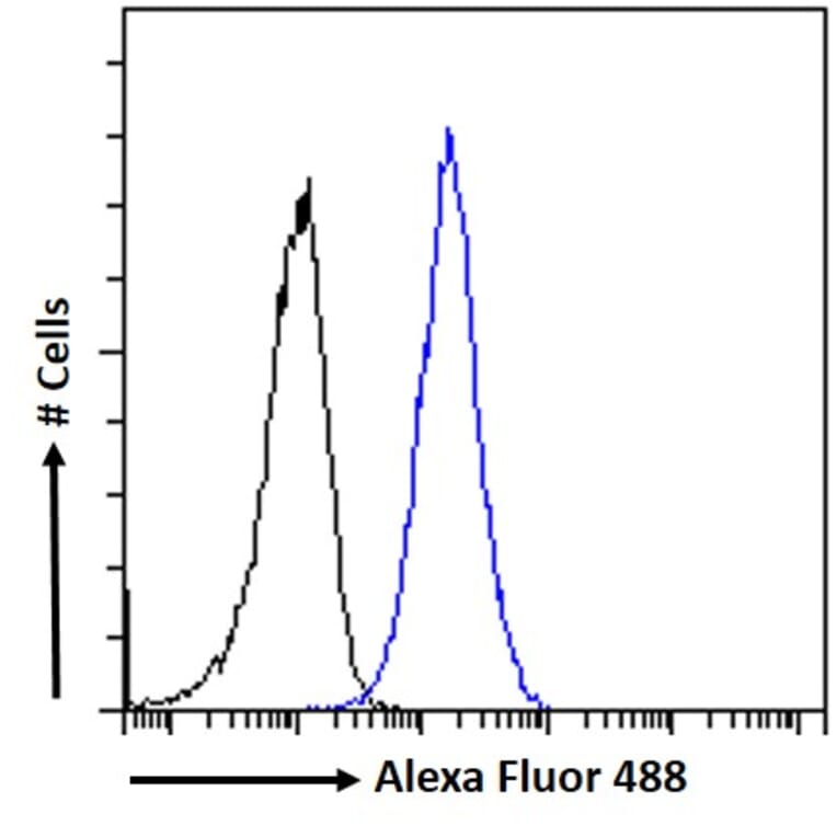 Flow Cytometry - Anti-RDH5 Antibody (A84825) - Antibodies.com