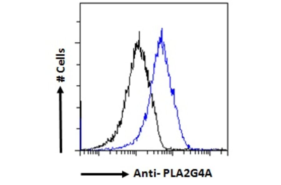 Flow Cytometry - Anti-Cytosolic Phospholipase A2 Antibody (A84828) - Antibodies.com