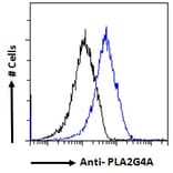 Flow Cytometry - Anti-Cytosolic Phospholipase A2 Antibody (A84828) - Antibodies.com