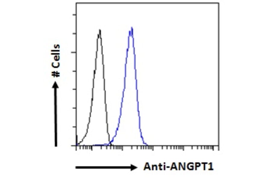 Flow Cytometry - Anti-Angiopoietin 1 Antibody (A84861) - Antibodies.com