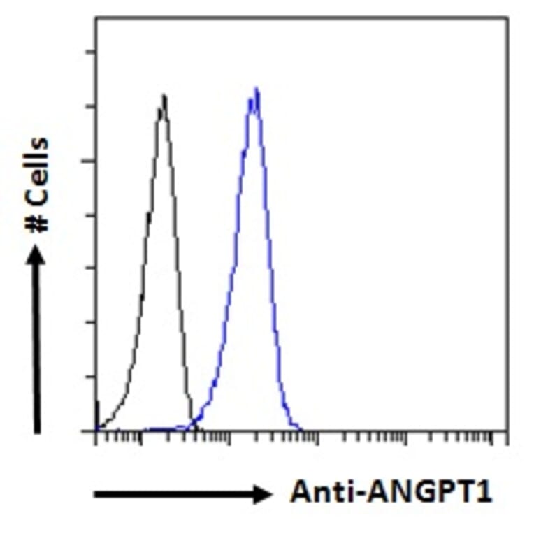 Flow Cytometry - Anti-Angiopoietin 1 Antibody (A84861) - Antibodies.com
