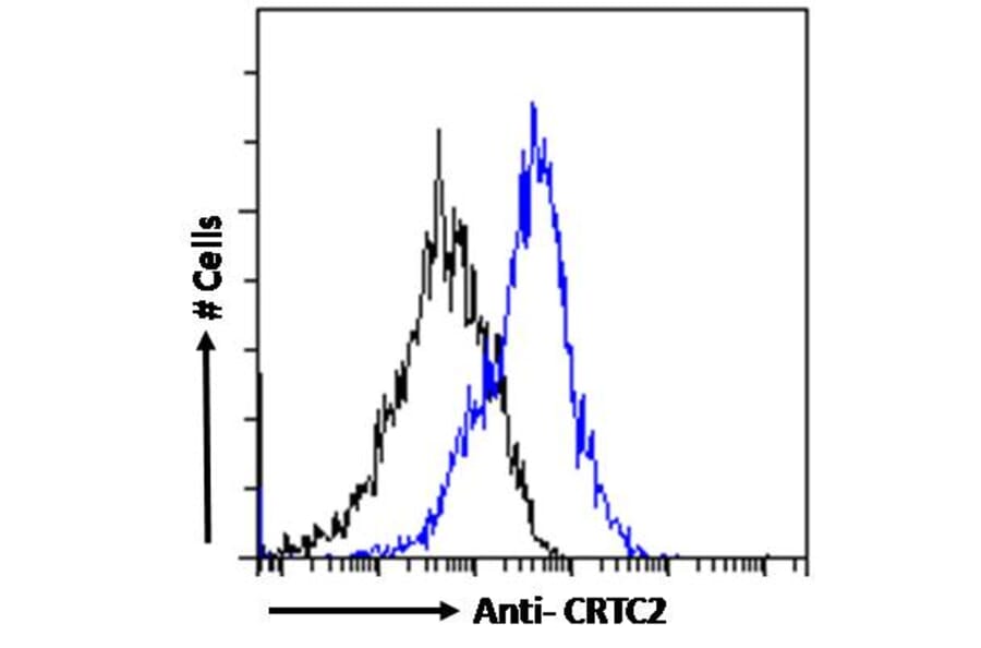 Flow Cytometry - Anti-TORC2 Antibody (A84934) - Antibodies.com