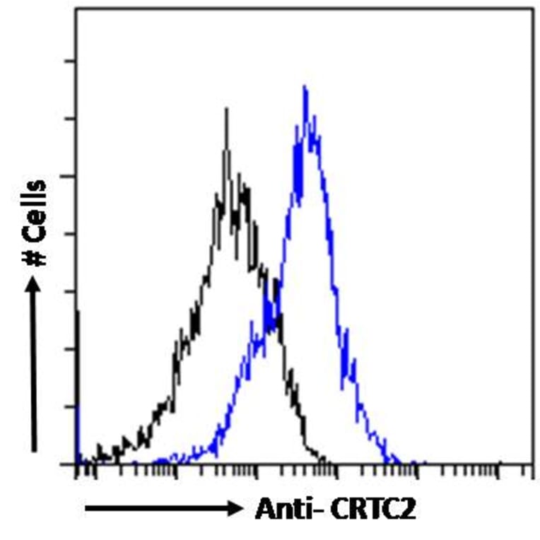 Flow Cytometry - Anti-TORC2 Antibody (A84934) - Antibodies.com