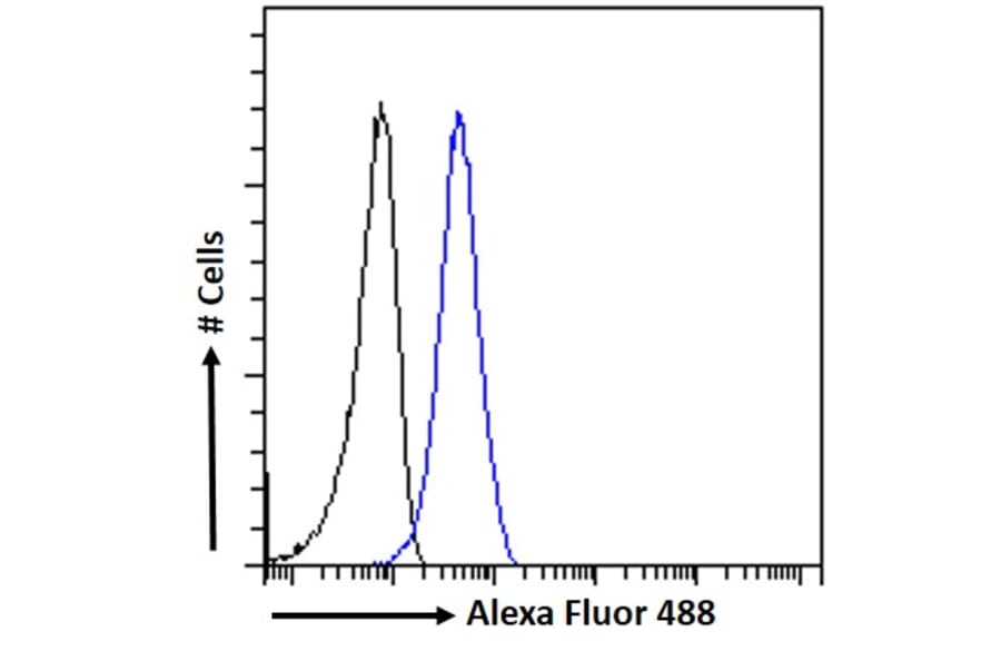 Flow Cytometry - Anti-PIM2 Antibody (A84951) - Antibodies.com