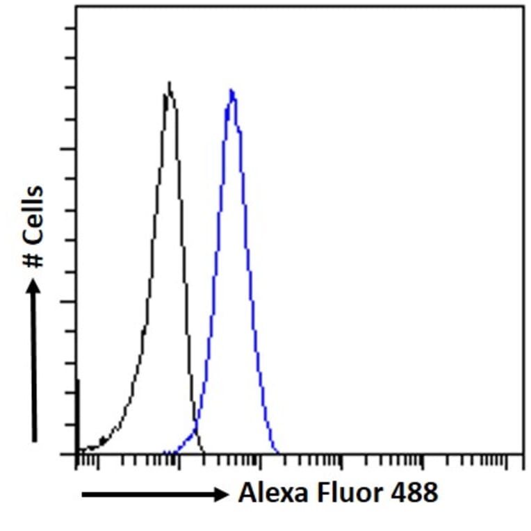 Flow Cytometry - Anti-PIM2 Antibody (A84951) - Antibodies.com