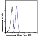 Flow Cytometry - Anti-PIM2 Antibody (A84951) - Antibodies.com