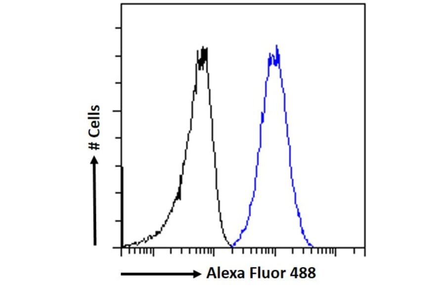Flow Cytometry - Anti-C22orf28 Antibody (A84969) - Antibodies.com