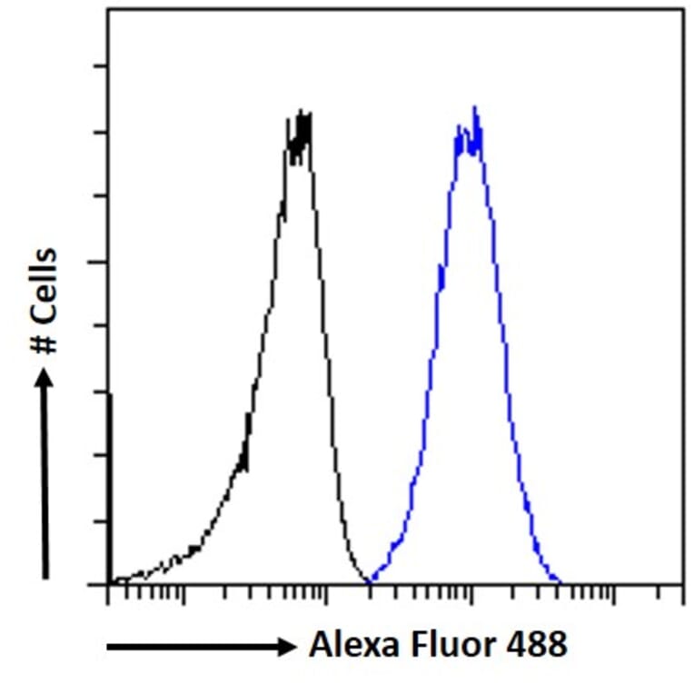 Flow Cytometry - Anti-C22orf28 Antibody (A84969) - Antibodies.com