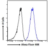Flow Cytometry - Anti-C22orf28 Antibody (A84969) - Antibodies.com