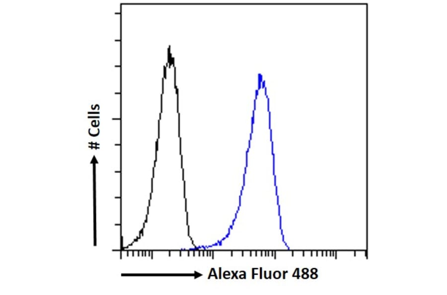 Flow Cytometry - Anti-DGAT1 Antibody (A84976) - Antibodies.com