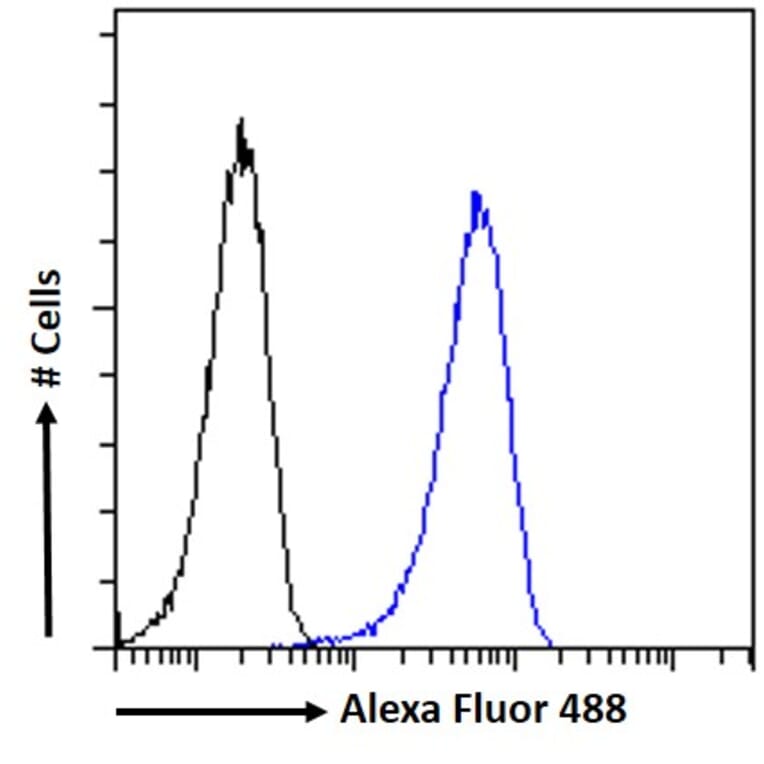 Flow Cytometry - Anti-DGAT1 Antibody (A84976) - Antibodies.com