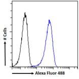 Flow Cytometry - Anti-DGAT1 Antibody (A84976) - Antibodies.com
