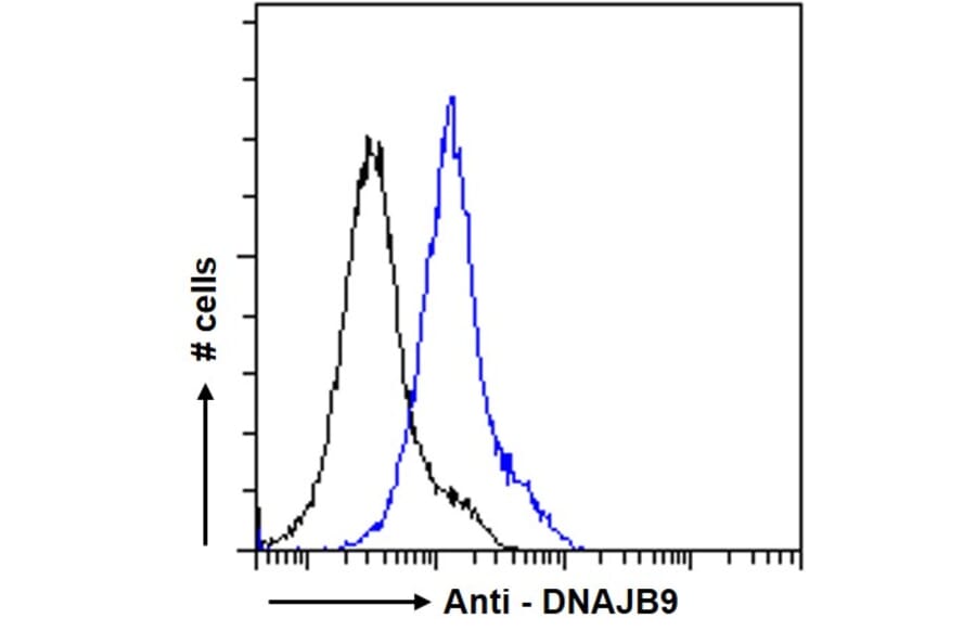 Flow Cytometry - Anti-DNAJB9 Antibody (A84978) - Antibodies.com