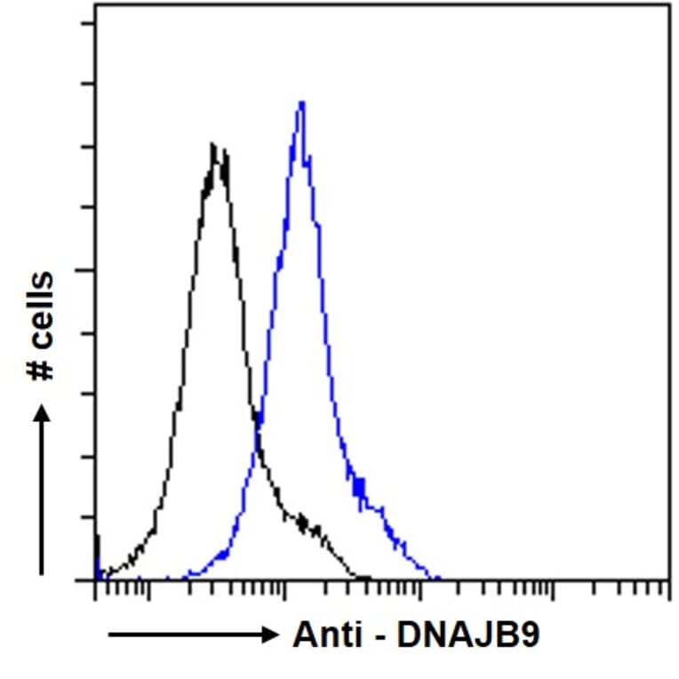 Flow Cytometry - Anti-DNAJB9 Antibody (A84978) - Antibodies.com