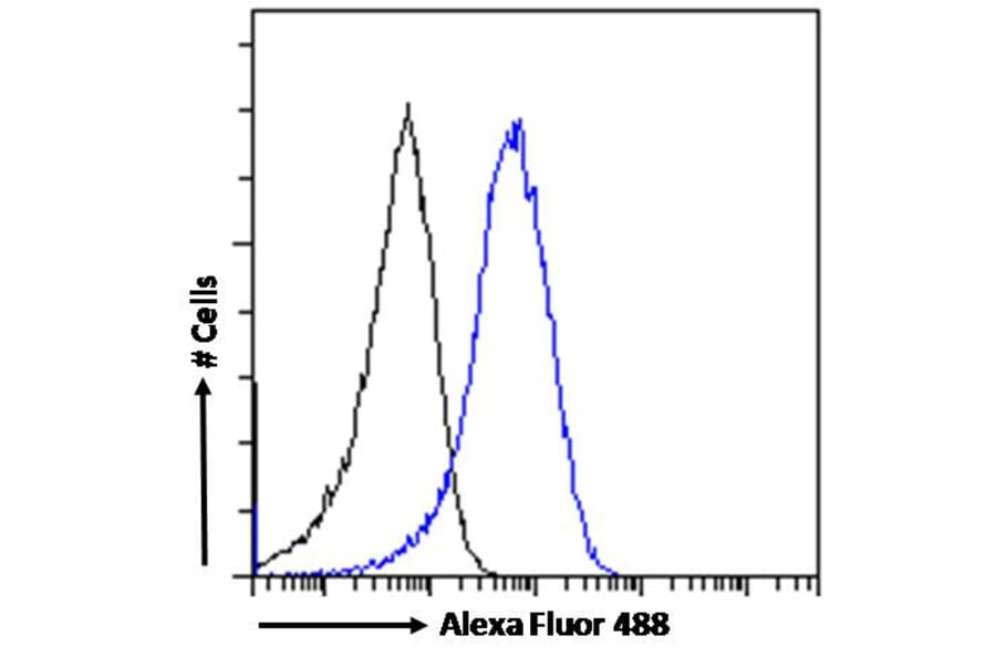 Flow Cytometry - Anti-NAK/TBK1 Antibody (A84985) - Antibodies.com