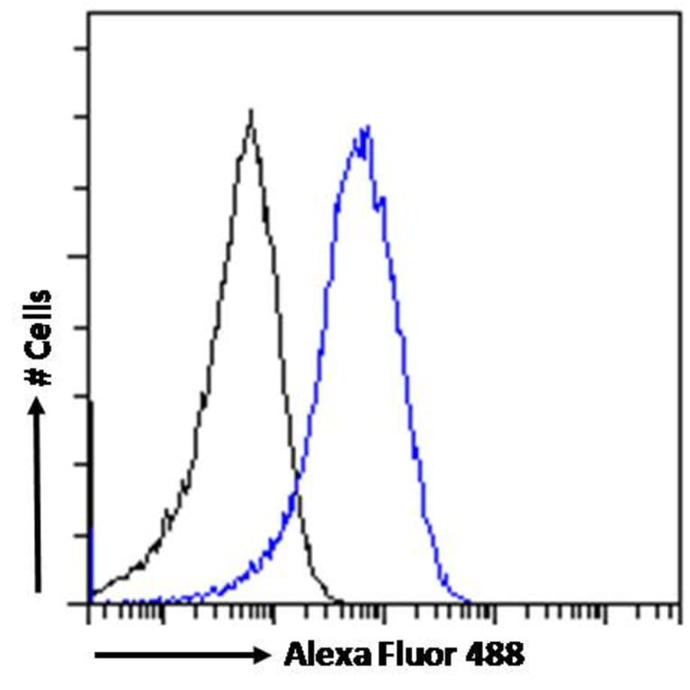 Flow Cytometry - Anti-NAK/TBK1 Antibody (A84985) - Antibodies.com