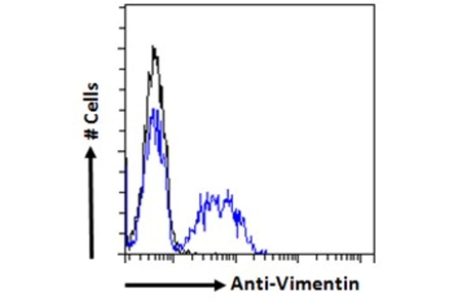 Flow Cytometry - Anti-Vimentin Antibody (A85007) - Antibodies.com