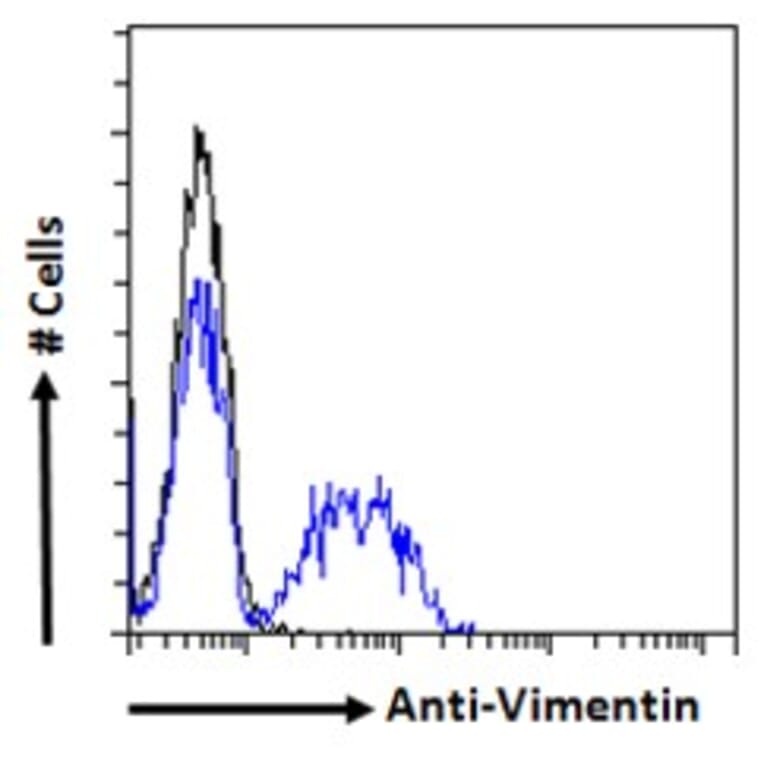 Flow Cytometry - Anti-Vimentin Antibody (A85007) - Antibodies.com