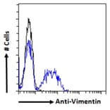 Flow Cytometry - Anti-Vimentin Antibody (A85007) - Antibodies.com