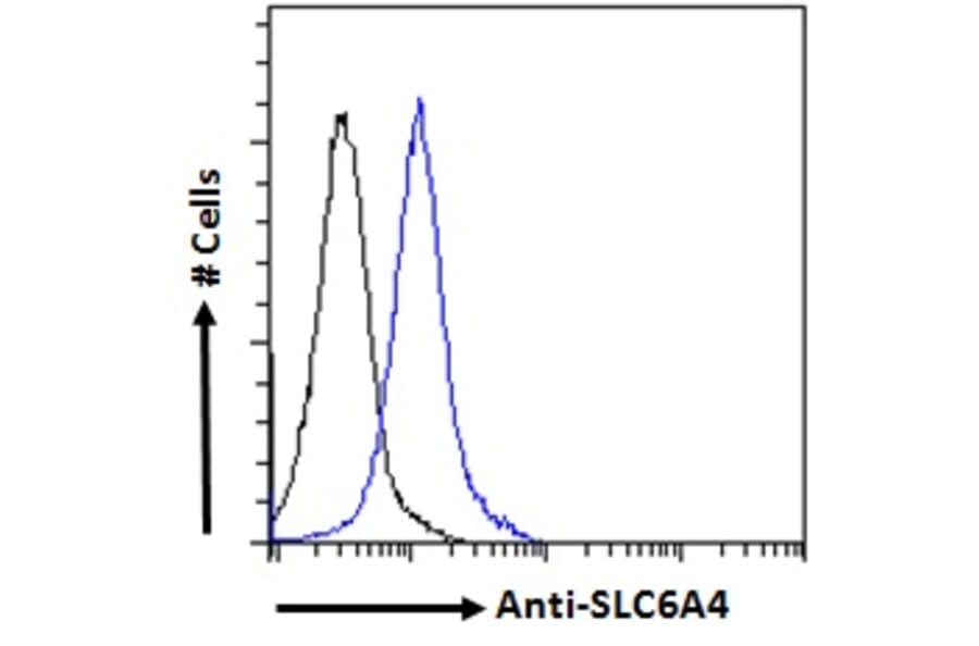 Flow Cytometry - Anti-Serotonin Transporter Antibody (A85020) - Antibodies.com