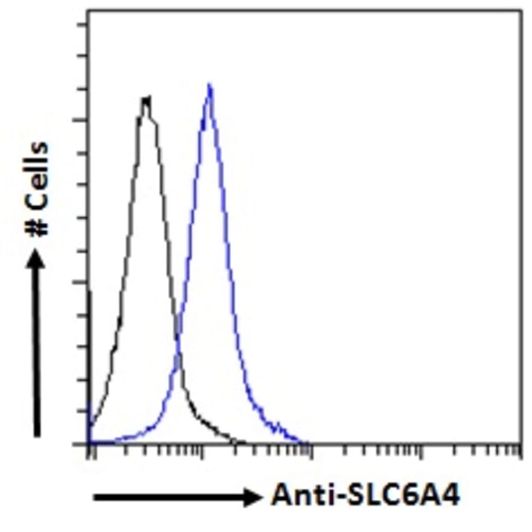 Flow Cytometry - Anti-Serotonin Transporter Antibody (A85020) - Antibodies.com