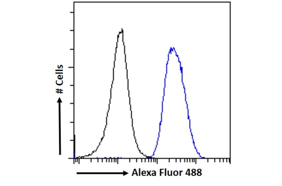Flow Cytometry - Anti-PYROXD1 Antibody (A85088) - Antibodies.com