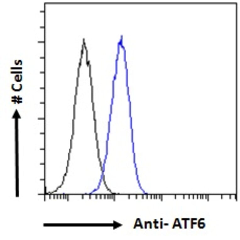 Flow Cytometry - Anti-ATF6 Antibody (A85123) - Antibodies.com