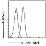 Flow Cytometry - Anti-ATF6 Antibody (A85123) - Antibodies.com