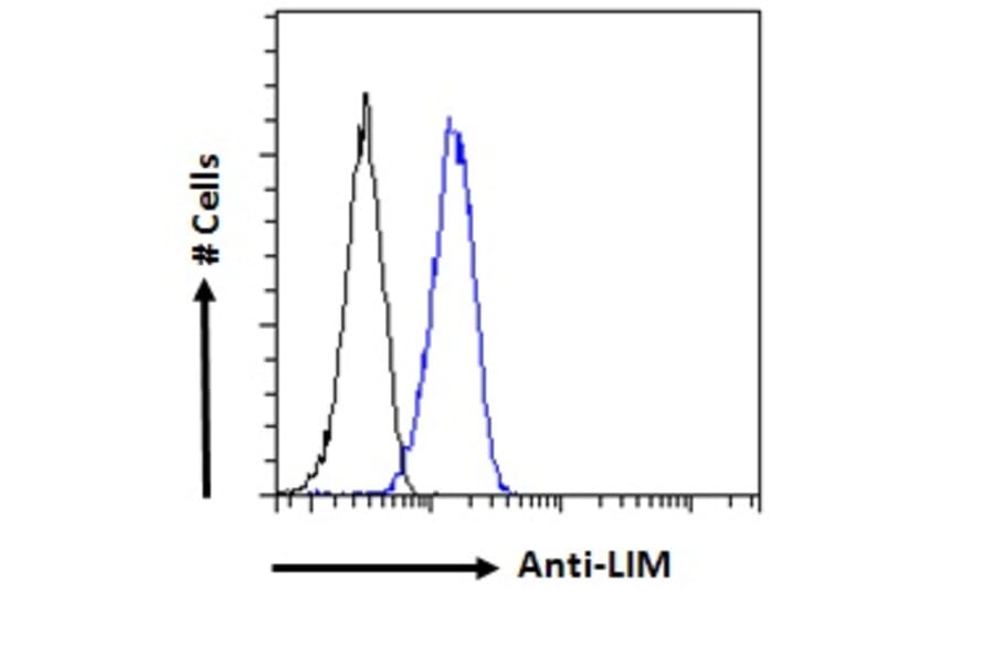 Flow Cytometry - Anti-LIM Domain Only 3 Antibody (A85227) - Antibodies.com