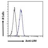 Flow Cytometry - Anti-LIM Domain Only 3 Antibody (A85227) - Antibodies.com